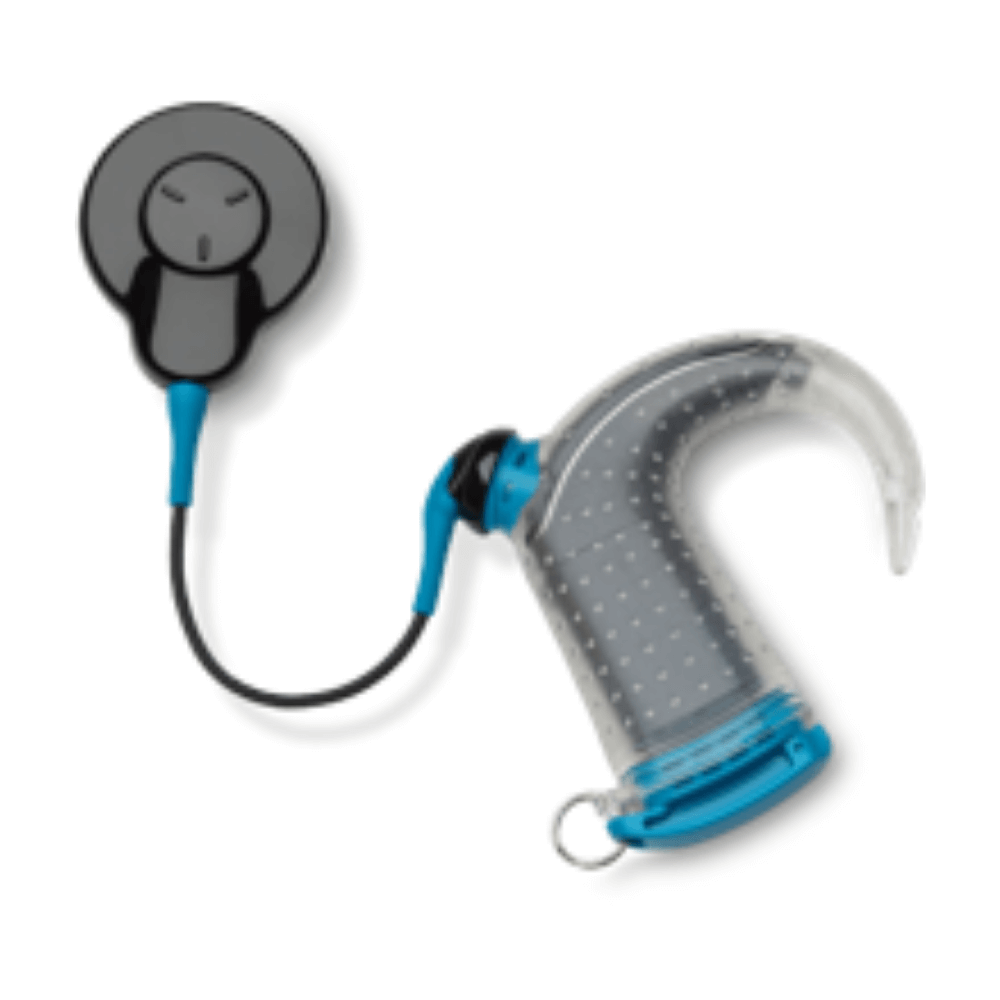 types of hearing aids